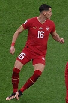 Sasa Lukic