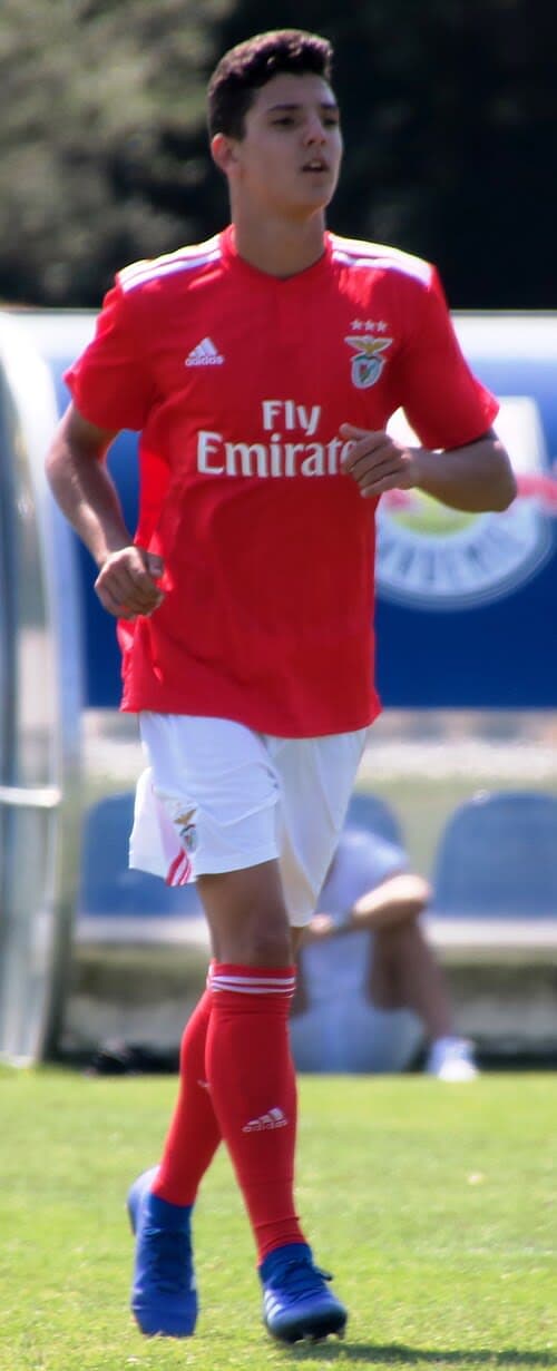 Martim Neto