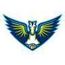 Dallas Wings